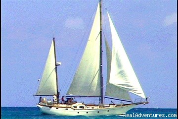 Caribbean Sailing Charter Photo