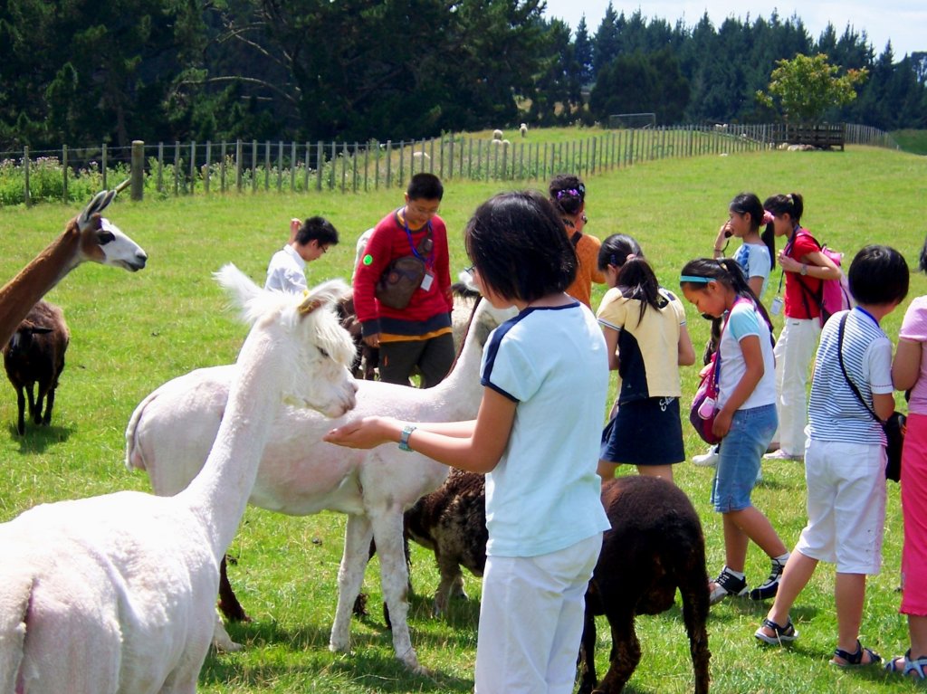 Farm Experience | Waikato Institute Of Education | Image #6/8 | 