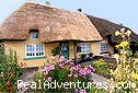 Interesting stay ~ The Old Cable Historic House: Irish Cottage