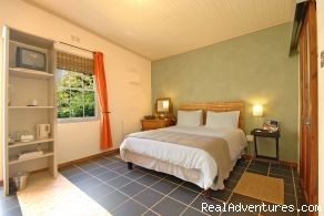 MALHERBE GUESTHOUSE - MONTAGU - WESTERN CAPE: standard garden room