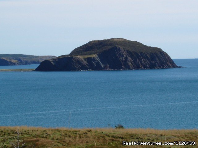 view of Fox Island from Devil's Cove | Newfoundland Vacation Homes | Image #4/11 | 