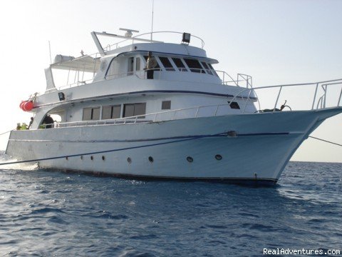 Our safari-boat | Red Sea diving-safaris - Yalla Dive | Image #4/9 | 