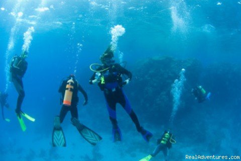 Red Sea Adventures | Red Sea diving-safaris - Yalla Dive | Image #6/9 | 