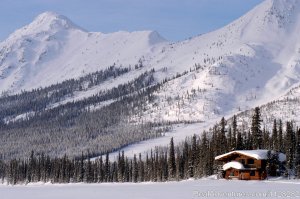Alaska Brooks Range Dog Sledding Tours | Fairbanks, Alaska Hotels & Resorts | Great Vacations & Exciting Destinations