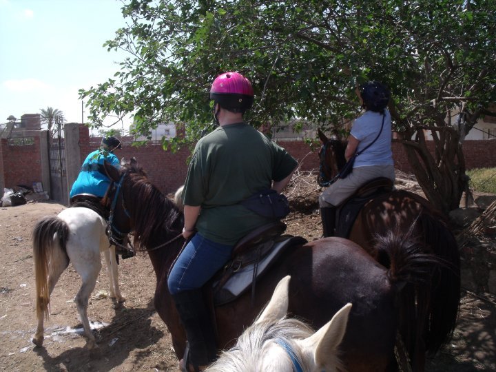 Picking Mulberries On Horseback | Al Sorat Farm: Peace In The Countryside | Giza, Egypt | Horseback Riding & Dude Ranches | Image #1/6 | 
