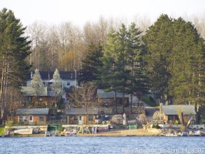 Cabin's on the Lake in Michigan