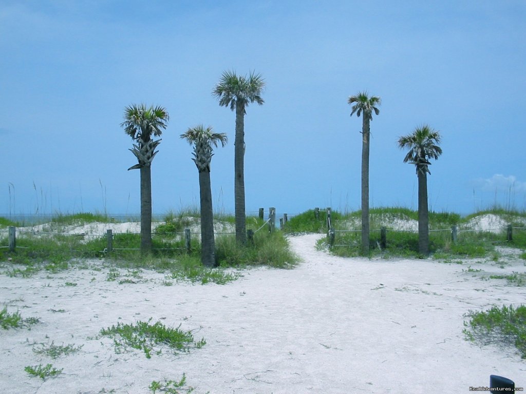 Anna Maria Island Beaches | Anna Maria Island, Florida Beach Vacation Rentals | Image #14/21 | 