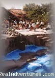 Tenerife DeTox Retreat & Swim with the Dolphins | Lanzarote, Canary Islands | Health Spas & Retreats