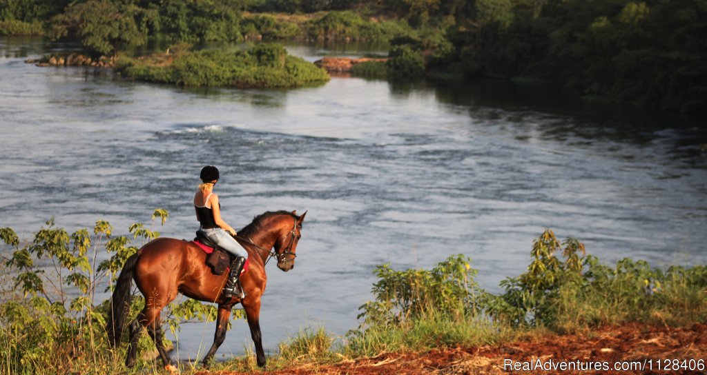 Horse Riding by the Nile River | Nile Horseback Safaris by the Nile in Uganda | Eastern, Uganda | Horseback Riding & Dude Ranches | Image #1/7 | 