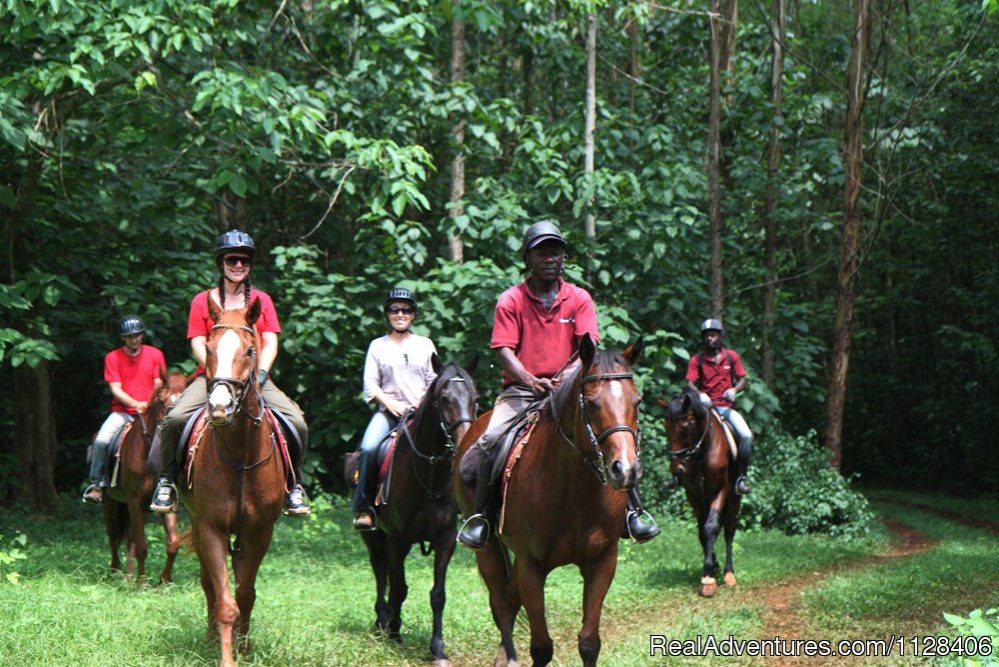 Riding in the forest | Nile Horseback Safaris by the Nile in Uganda | Image #3/7 | 