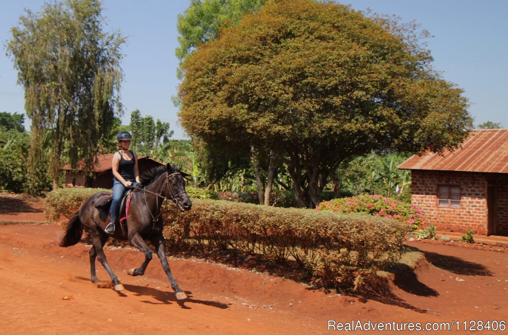 Fast or slow pace your choice | Nile Horseback Safaris by the Nile in Uganda | Image #5/7 | 