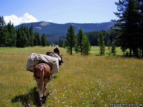 Pack Trips Into Yellowstone and The Lee Metcalf Wilderness