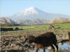 Trekking In Kackar And Ararat Mountaİns | Nigde, Turkey