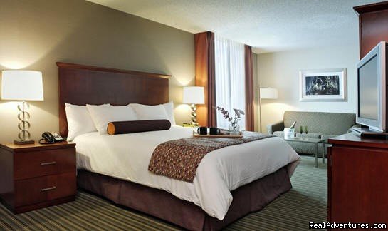 Curtis Hotel Room - King | the Curtis - a DoubleTree by Hilton | Denver, Colorado  | Hotels & Resorts | Image #1/12 | 