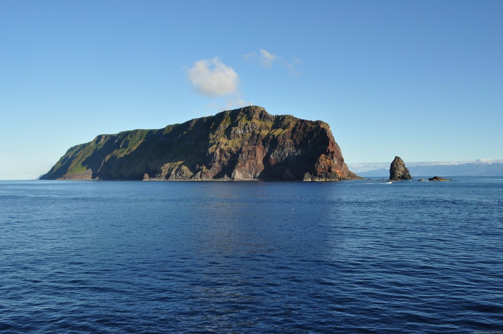 São Jorge island | Azores A Prime Destination For Whale Watching | Image #12/20 | 