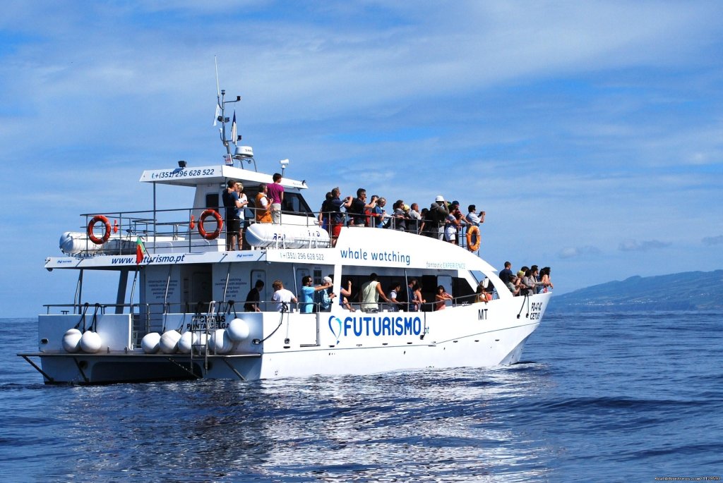 Our brand new catamaram CETUS | Azores A Prime Destination For Whale Watching | Image #13/20 | 