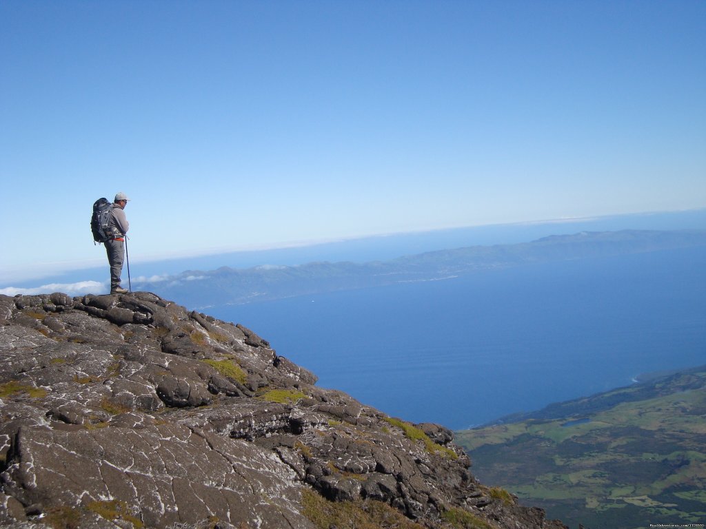 On the top of Pico island | Azores A Prime Destination For Whale Watching | Image #18/20 | 