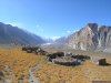 SilkRoad Caravan Trek & Tour  Pakistan Afghanistan | Islamabad, Afghanistan