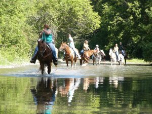 R & R Dude Ranch a year round Country Getaway | Otto, New York | Horseback Riding & Dude Ranches