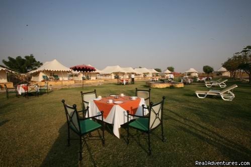 Garden view | Mirvana Nature Resort near Jaisalmer | Image #5/6 | 