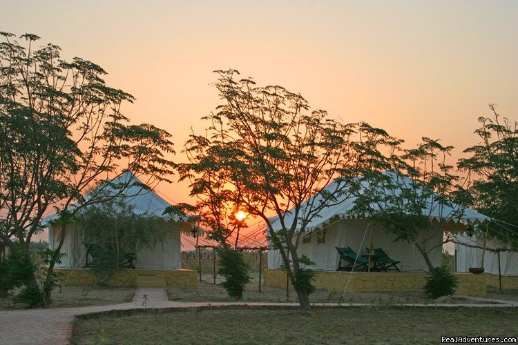 Sunset from the Tents | Mirvana Nature Resort near Jaisalmer | Image #6/6 | 