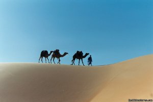 Desert 4x4 tours in Mauritania | Nouakchott, Mauritania | Wildlife & Safari Tours
