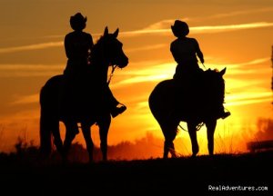 Deep Creek Stables An incredible riding experience | Pierson, Florida | Horseback Riding & Dude Ranches
