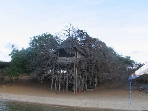 The tree house on Kwayuu