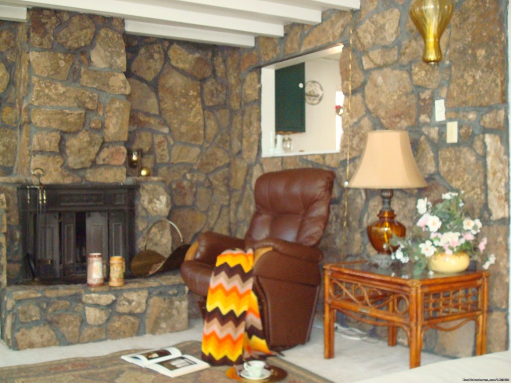 LIVING ROOM HAS A FIREPLACE | Pikes Peak Cabin  By Garden Of The Gods | Image #6/22 | 