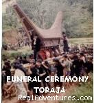 Travel to TORAJA: Visiting Funeral Ceremony: Travel Toraja - SULAWESI