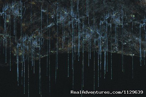 GlowWorms | Underworld Adventures | Image #2/4 | 