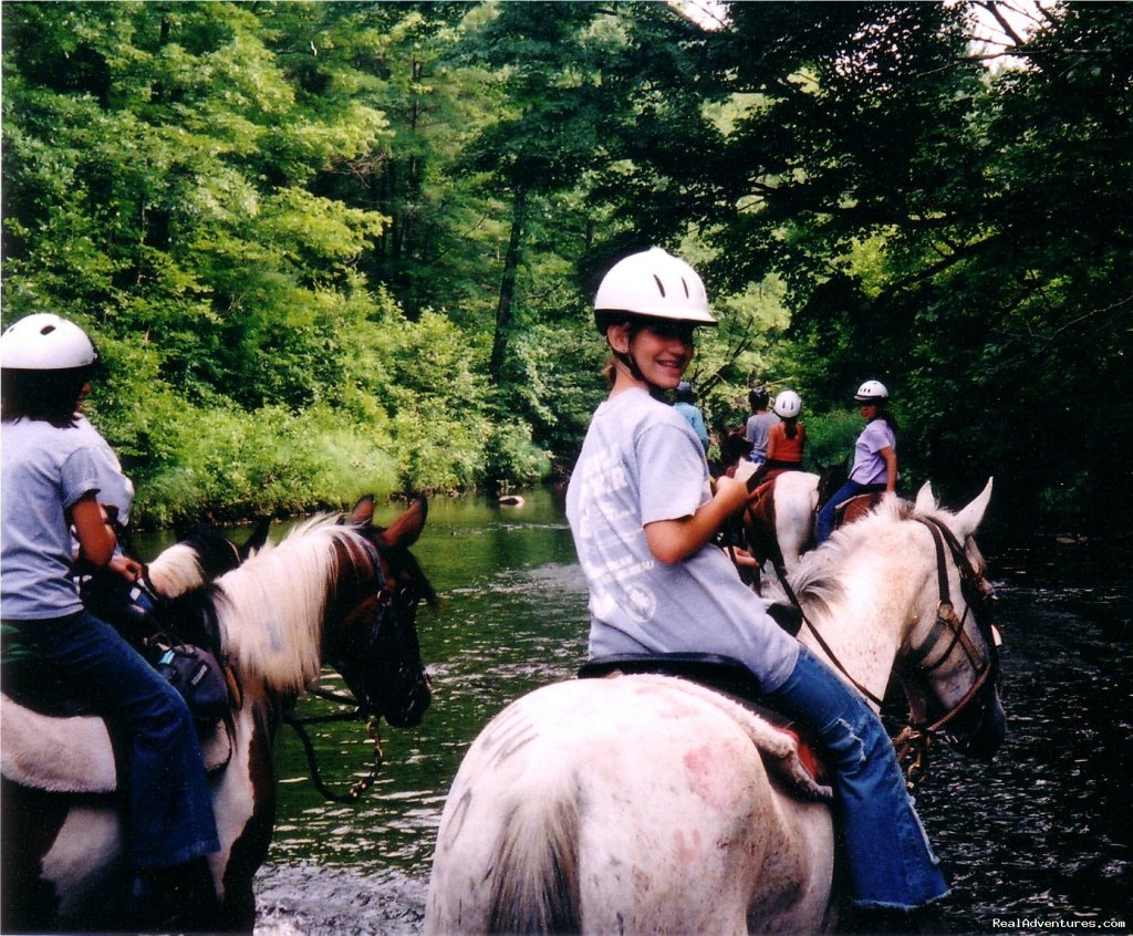 Gentle,well-trained Horses-horseback Adventures | Image #7/14 | 