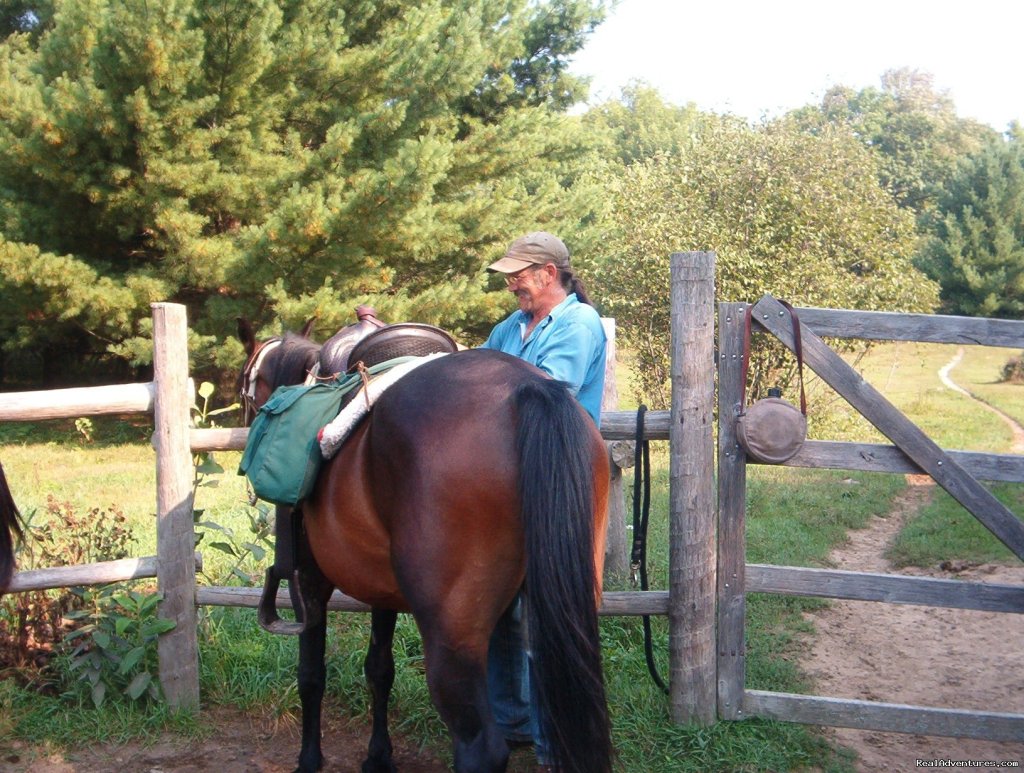 Gentle,well-trained Horses-horseback Adventures | Image #11/14 | 