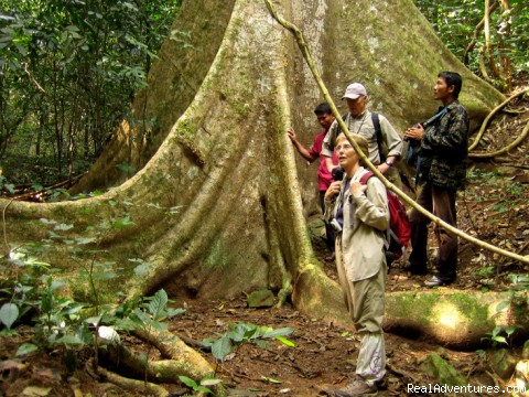 Luxury nature based tours in Thailand Photo