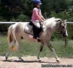 Overnight Horse Accomodations, Lessons, Trail Ride | Dobson, NC, North Carolina | Horseback Riding & Dude Ranches