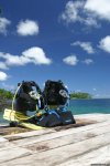 Dive In Paradise with Pro Dive Taveuni | Taveuni, Fiji