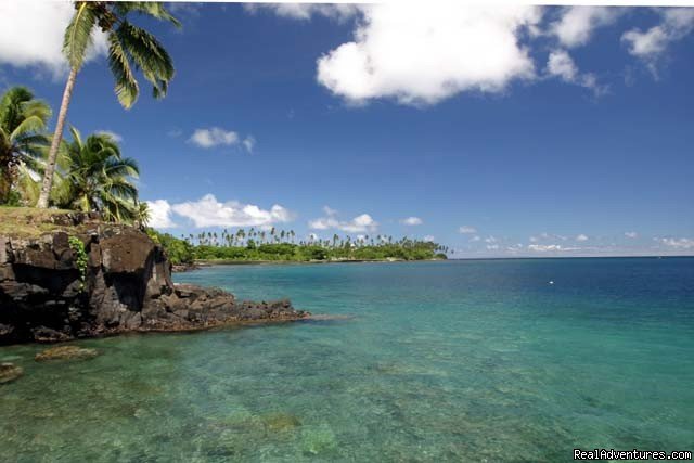 Dive In Paradise with Pro Dive Taveuni | Image #2/4 | 