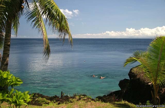 Dive In Paradise with Pro Dive Taveuni | Image #3/4 | 