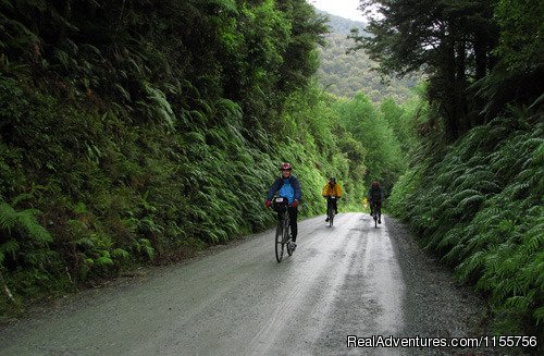 Hollyford Ride | Adventure South New Zealand | Image #5/5 | 