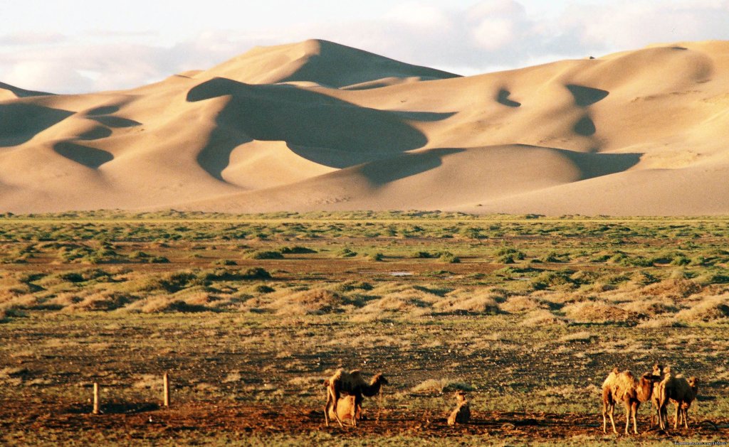 Khongoryn Els sand dune | Discover Gobi desert with Idre's tour in Mongolia. | Image #13/25 | 