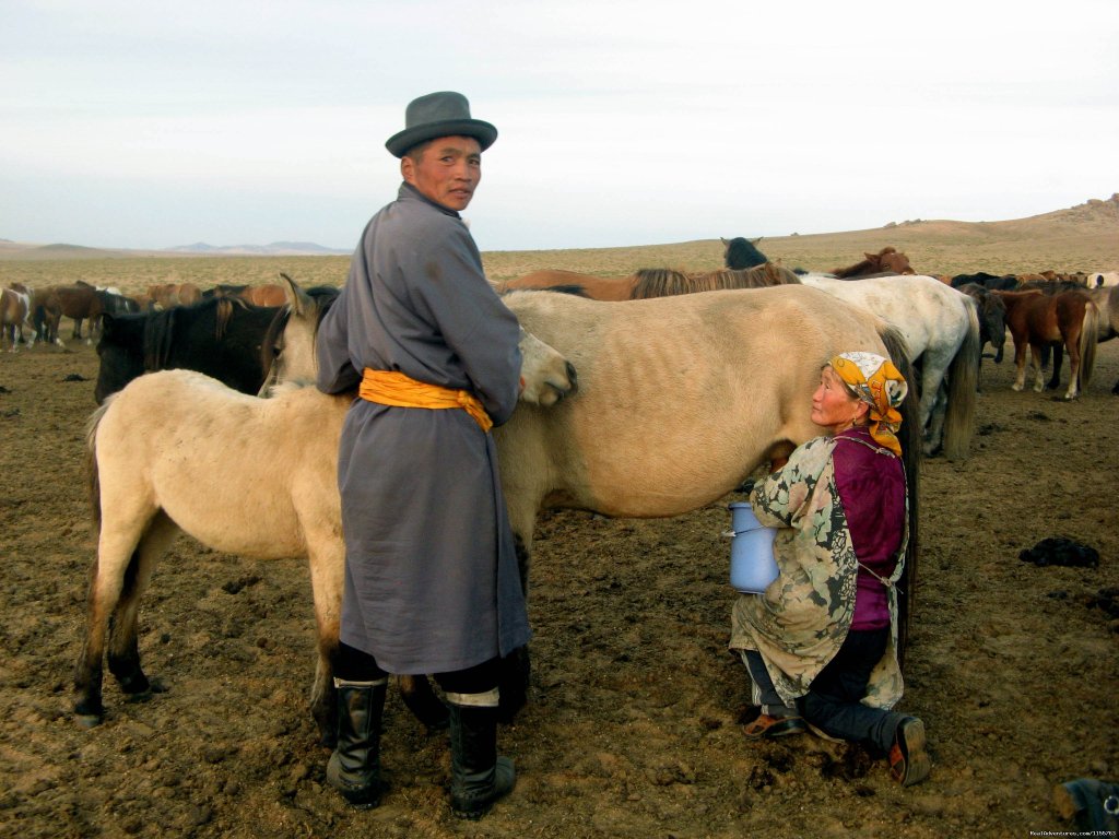 Milking mare | Discover Gobi desert with Idre's tour in Mongolia. | Image #20/25 | 