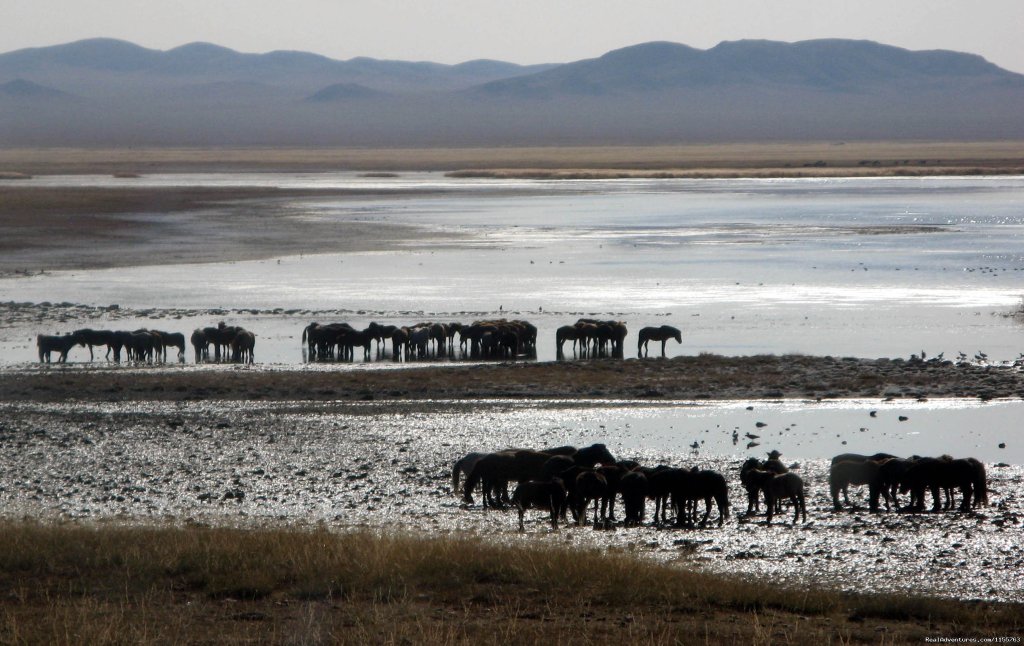 A Lake | Discover Gobi desert with Idre's tour in Mongolia. | Image #23/25 | 