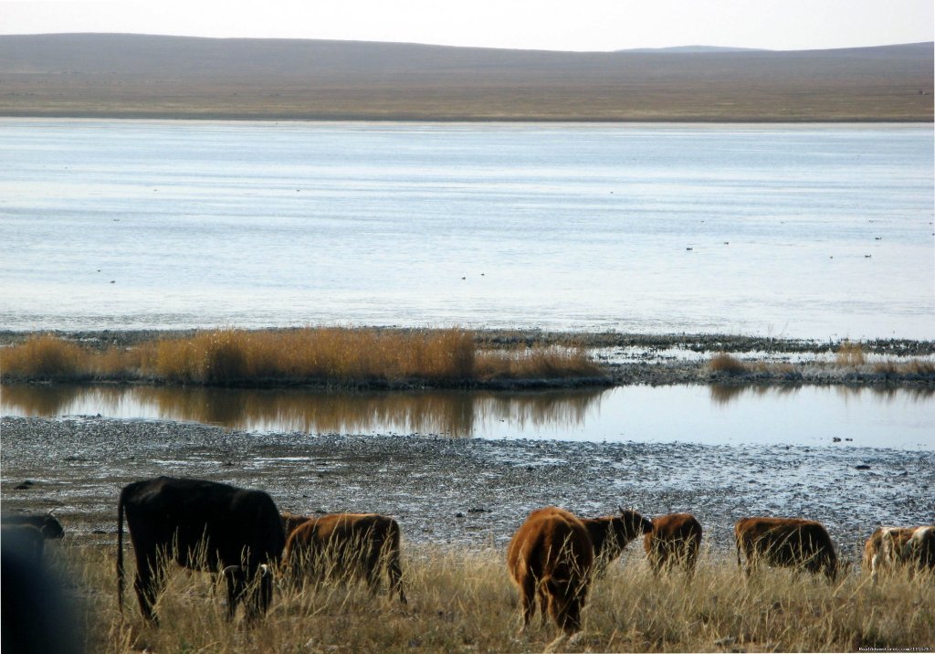 A lake | Discover Gobi desert with Idre's tour in Mongolia. | Image #25/25 | 