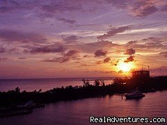 3 Night Weekend Getaway | Port Charlotte, Florida | Cruises
