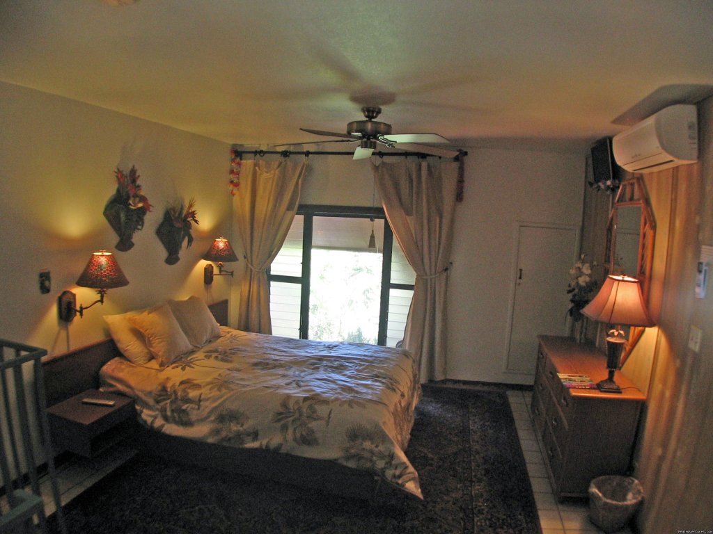  7 Bedrm/5Ba Townhome w/Heated Pool & Cent AC | Image #7/11 | 