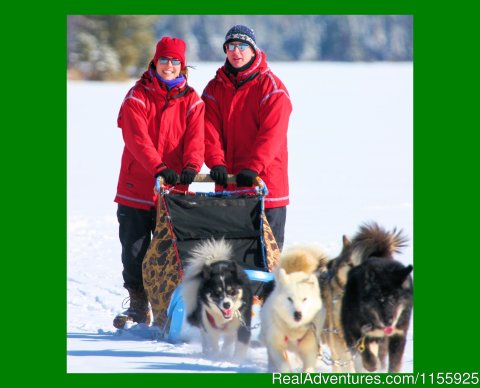 Enjoy a Wintergreen Dogsled Vacation