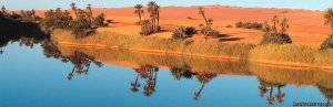 Real Adventure in Libya with AYA Tours 