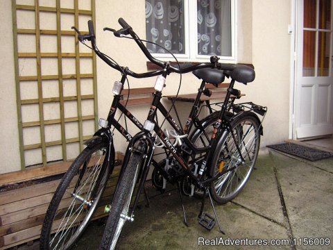 2 Bicycles In The Price Of Rental