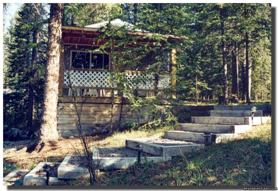 Rosy Finch  | Cheechako Cabins, your Rocky Mountain Getaway | Nordegg, Alberta  | Vacation Rentals | Image #1/8 | 