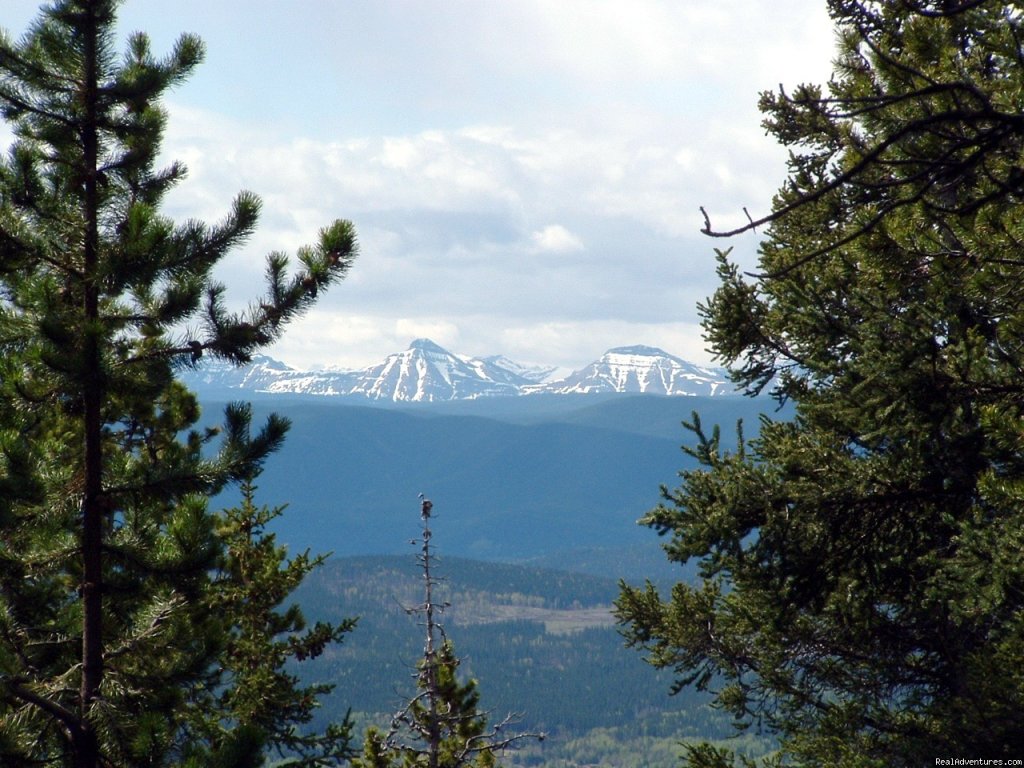View from Coliseum | Cheechako Cabins, your Rocky Mountain Getaway | Image #8/8 | 